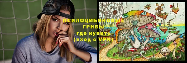 PSILOCYBIN Богданович